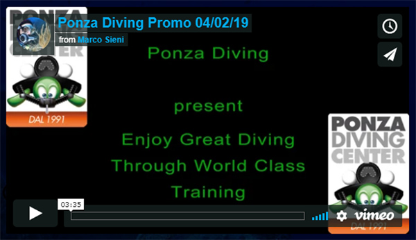 Ponza Diving Promo 2019