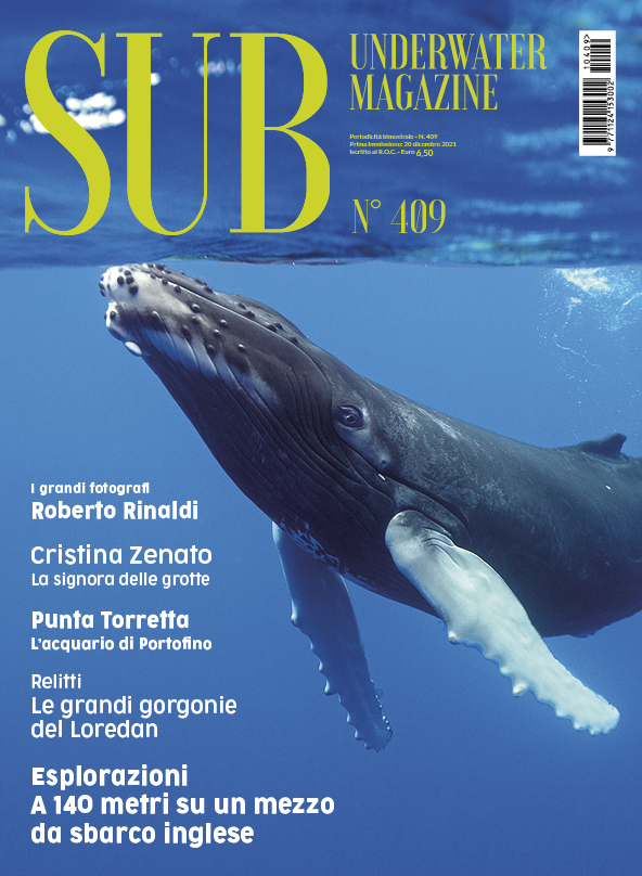 Sub Underwater Magazine 409