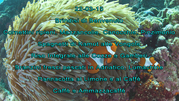 Cornettini ripieni, Mazzancolle, Canocchie, Pinzimonio Spagnetti di Kamut alle Vongole Riso Integrale alle Cozze e Gamberi Branzini fresci pescati in Adriatico, Lumachine Pannacotta al Limone e al Caffè