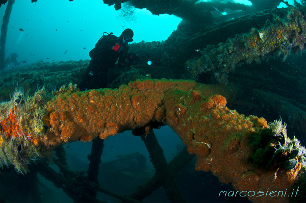 Matteo Rinaldi during Paguro wreck dive