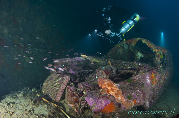 A car lost, Nasim wreck Giannutri Island