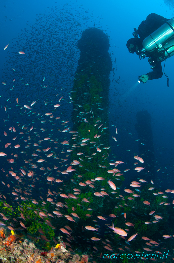 Caterina Madre wreck with Costa del Sud diving