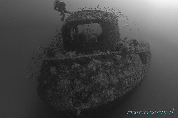 Genepesca wreck