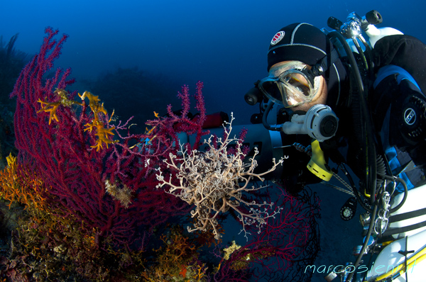 Selfie with Astrospartus Mediterraneus