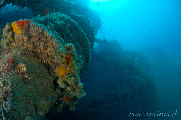 Paguro Wreck end july 2016
