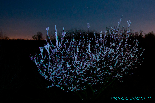 Night shots with a fantastic light & moon