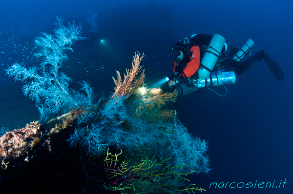 Valsavoia Wreck in front of Positano