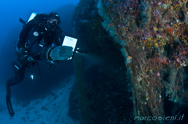 JJ-CCR Normoxic course in Ponza