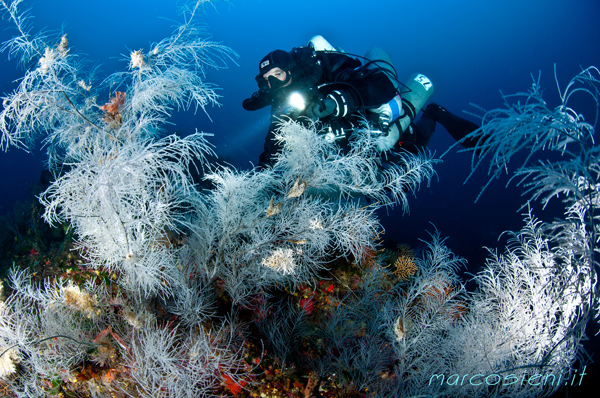 Technical Week 2018 in Argentario Divers