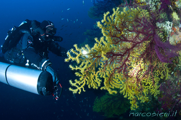 Ponza Island Gioia Shoal