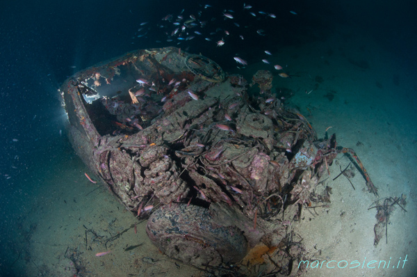 Nasim wreck Giannutri