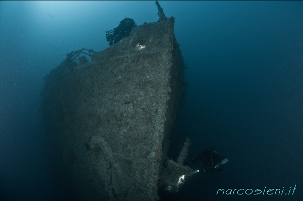 Rosalie Moller wreck