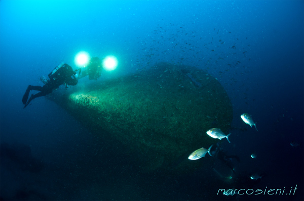 Giannutri Island, Nasim wreck