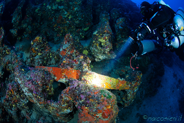 Amazing Giannutri Island