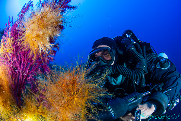 Amazing Ponza island by Ponza Diving