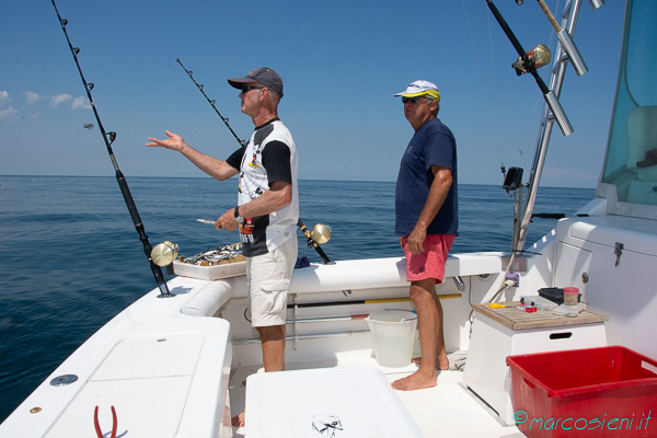 Fisching in Adriatic sea