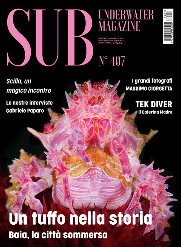 Sub Underwater Magazine 407