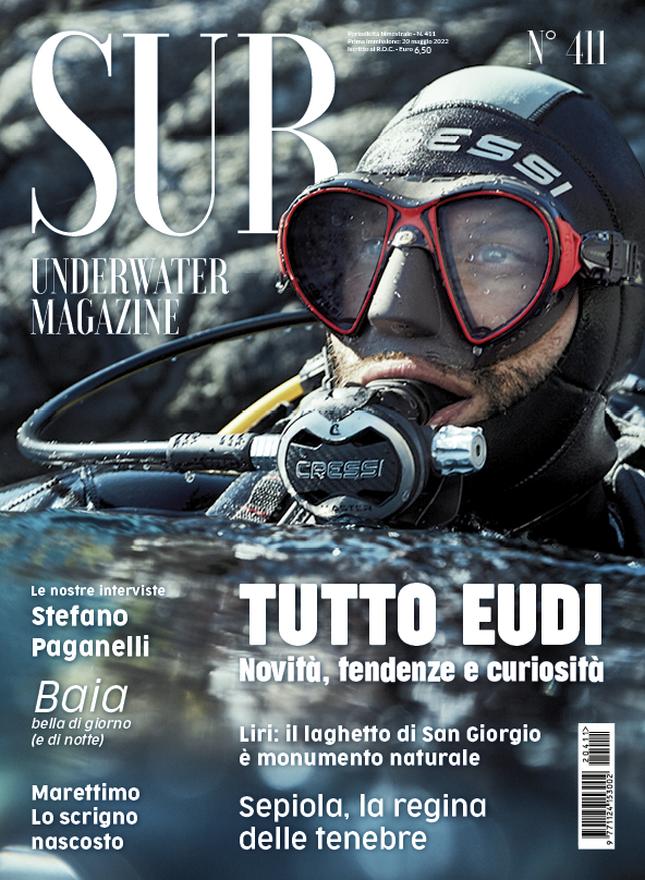 Sub Underwater Magazine 411