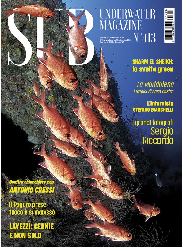Sub Underwater Magazine 413
