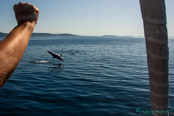 Croazia July Cruise with friends