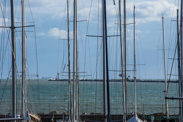 Campionato Invernale di Marina di Ravenna 40