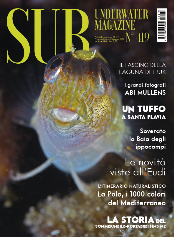 Sub Underwater Magazine 419