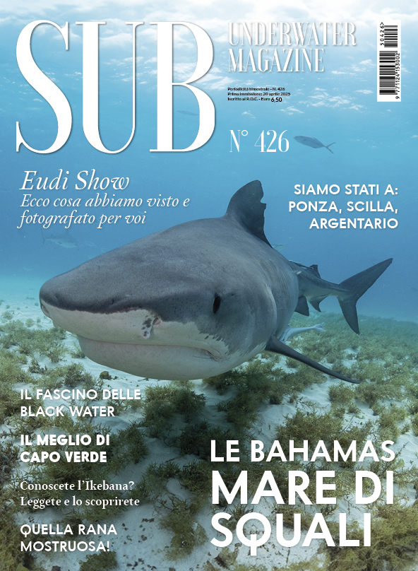 Sub Underwater Magazine 426