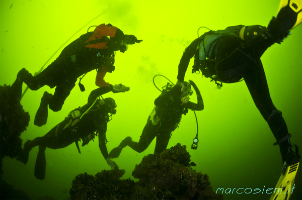 Blind Divers in Paguro Wreck