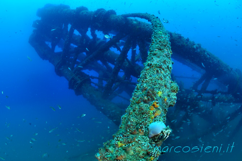 Clean and hot water in Paguro wreck