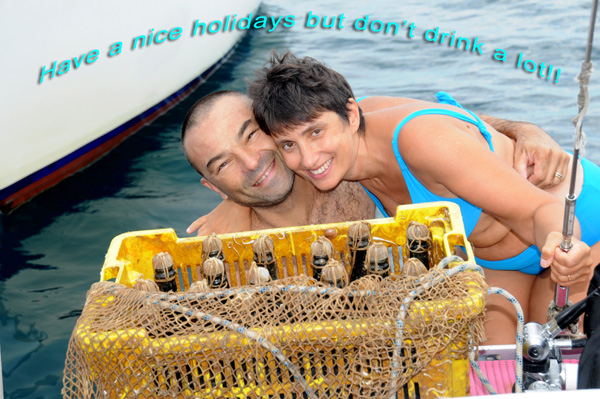 Happy holidays