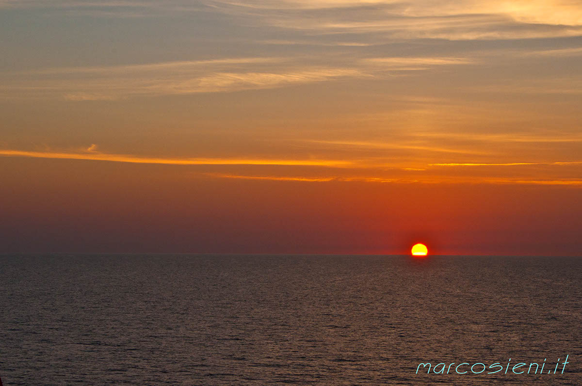 DSC_7965