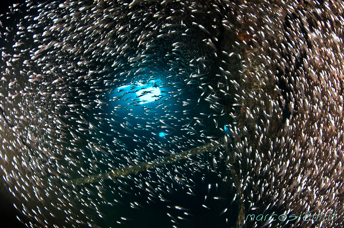 DSC_0047