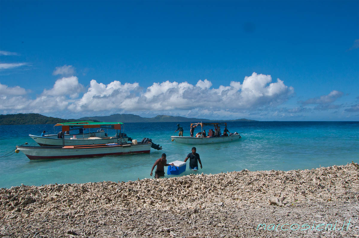 DSC_1173