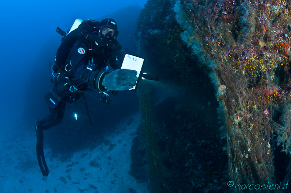 Ponza Diving - Andrea Donati insegna