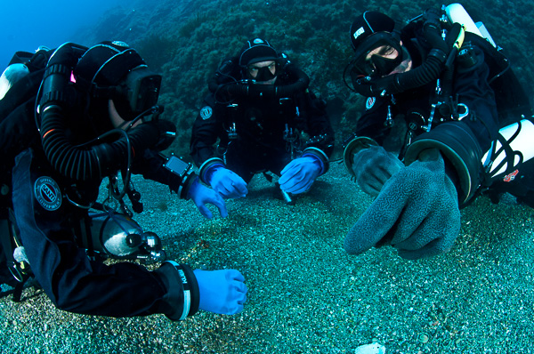 Ponza Diving - Andrea Donati insegna