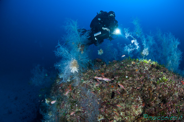 Ponza Diving - Andrea Donati