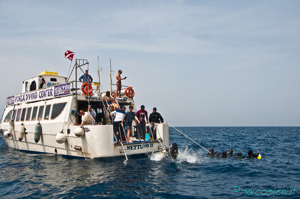 Ponza Diving Ponza Diving