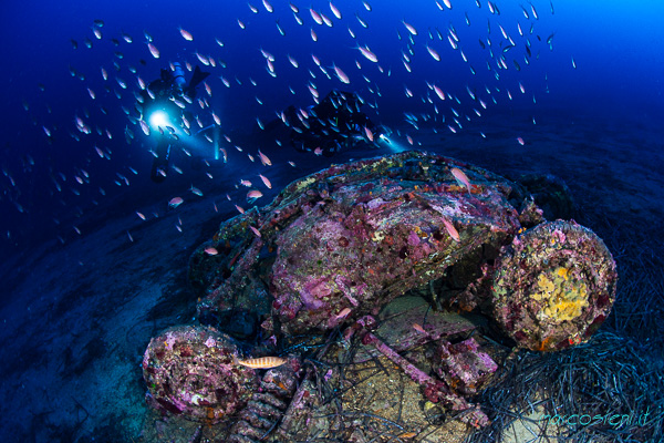 Argentario DIvers Argentario DIvers