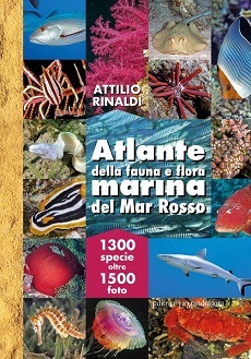 Atlante della fauna e flora marina del Mar Rosso