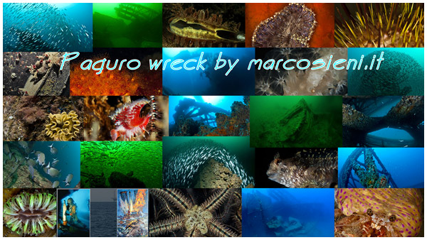 Paguro wreck by marcosieni photo editing