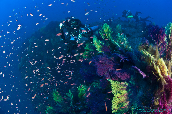 Loredan wreck life explosion Loredan wreck life explosion