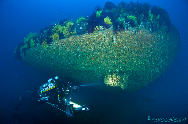 Loredan wreck bow life explosion