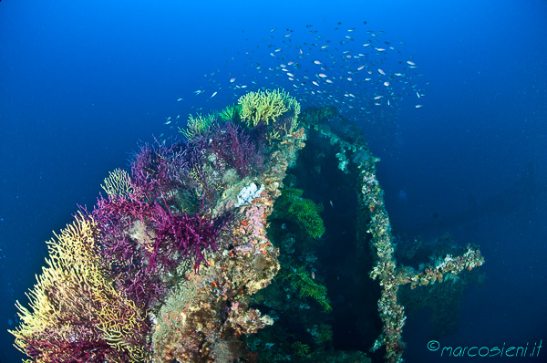 Loredan wreck life explosion Loredan wreck life explosion