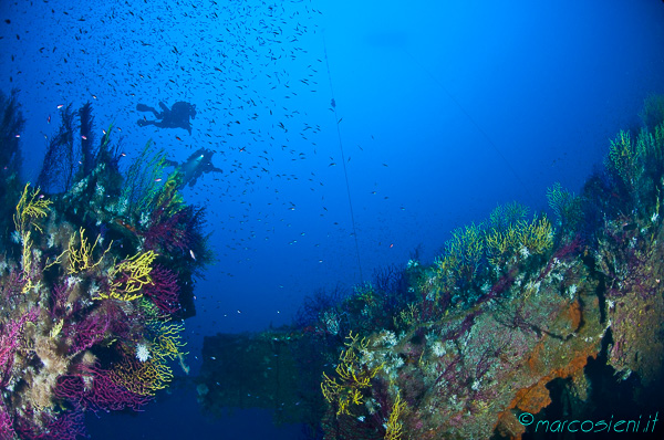Loredan wreck life explosion Loredan wreck life explosion