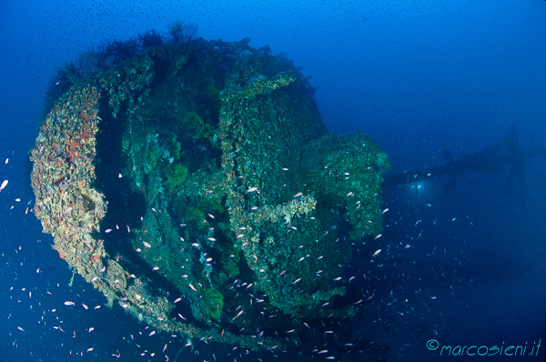 Loredan wreck Loredan wreck