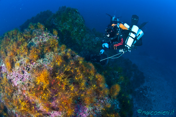 Rebreather Meeting Ponza