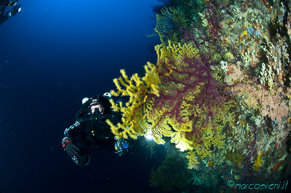 Rebreather Meeting Ponza