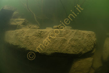 Dettaglio Dettaglio