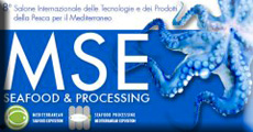 MSE Rimini 2009