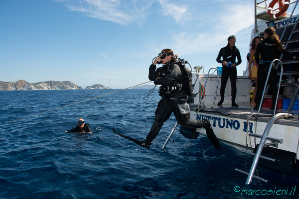 Ponza Diving